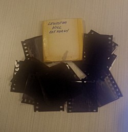 Unmounted negatives