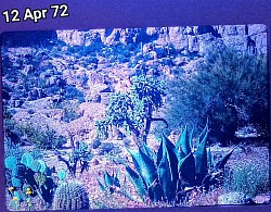 Arizona