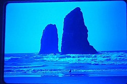 Ocean