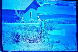 House and dead body