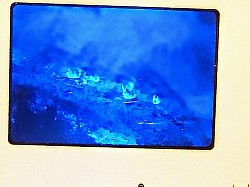 Fires